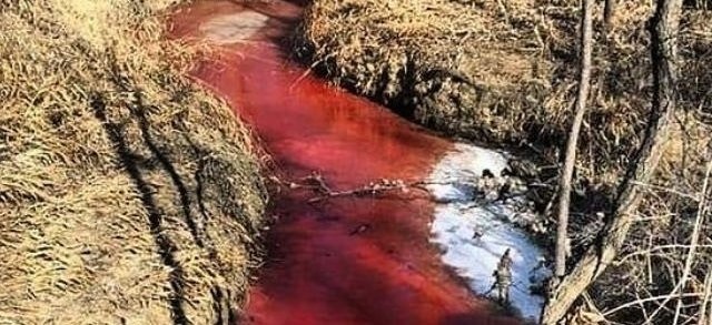 В Приморье вода в реке стала кроваво-красной