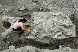 В Хакасии были найдены кости мамонта