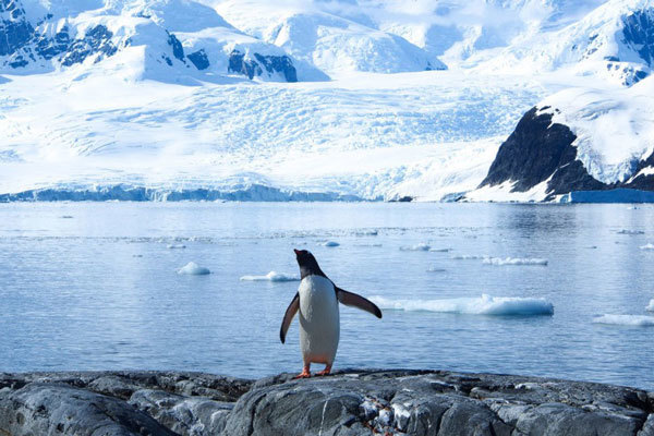 Антарктида: история и современное состояние