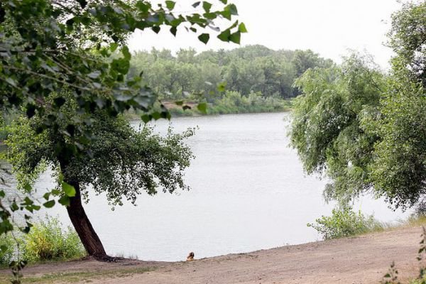 Оренбургская Зауральная роща станет центральным парком