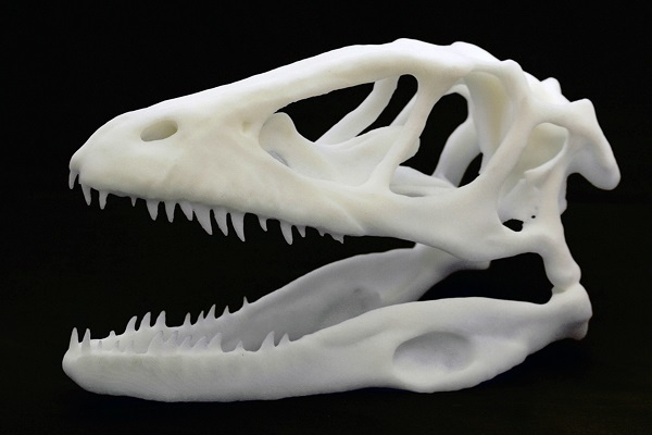 Череп ихтиозавра воссоздали в 3D