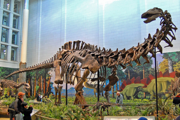 Глобальное потепление сделало динозавров-зауроподов гигантами