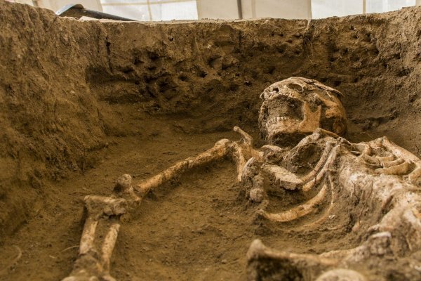 90 000-летняя девочка была древним человеческим гибридом