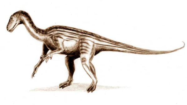 Палеонтологи создали цифровую копию мозга бристольского динозавра