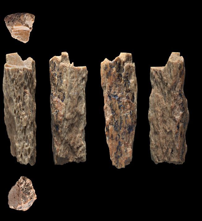 90 000-летняя девочка была древним человеческим гибридом. 2351.jpeg