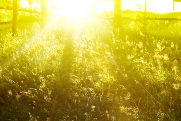 Солнечный свет может помочь уничтожить пылевые бактерии