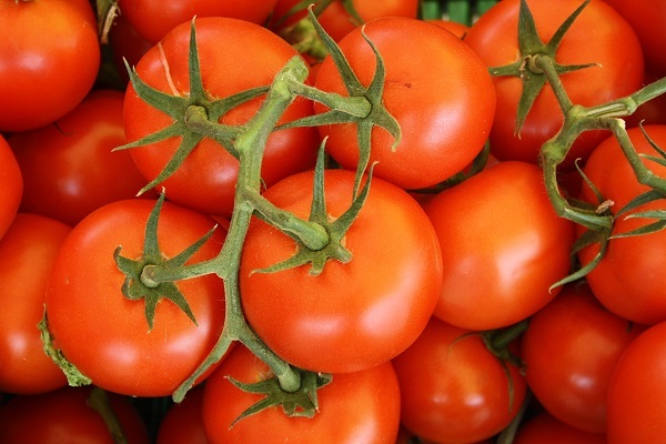 Битва за помидоры: ученые спорят о пользе и вреде томатов