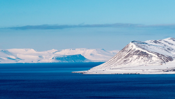 Экспедиция Северного флота открыла в Арктике новый остров
