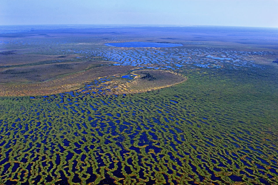 Самые гигантские болота на планете. 3448.jpeg