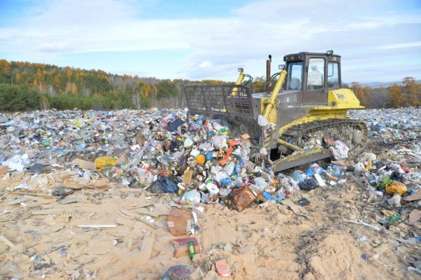 Правильная утилизация мусора - основное направление экологии в борьбе за чистоту планеты