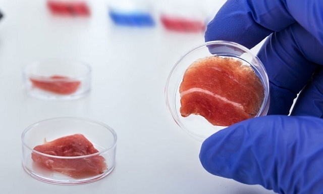 Исследователи из США выращивают мясо в лаборатории
