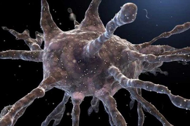 Исследователи превратили клетки кожи в иммунные
