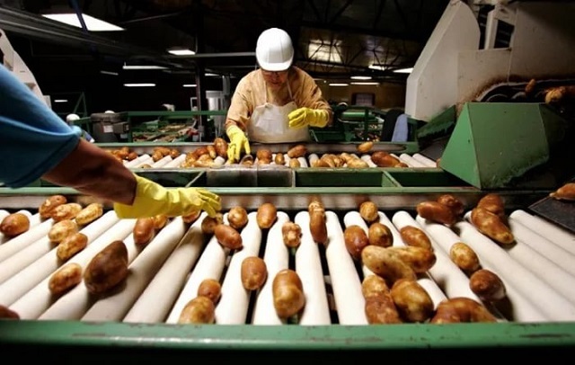 Завод по переработке картофеля откроют в 2019 году в Тюменской области