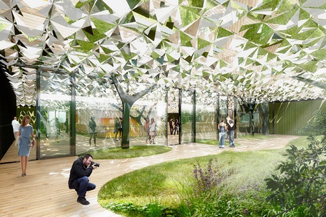 Голландские архитекторы создали эффект леса в офисе