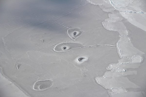 В Антарктиде приземлилось НЛО