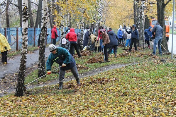 В Хабаровском крае состоится субботник