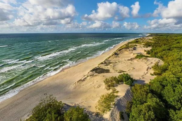 Экологи: Куршская коса стала огромной пепельницей