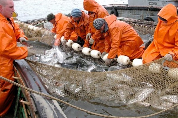 Главные вопросы о рыболовстве в экологическом ключе