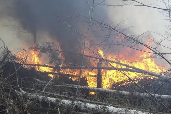 Приамурье будет бороться с пожарами при помощи спецтехники