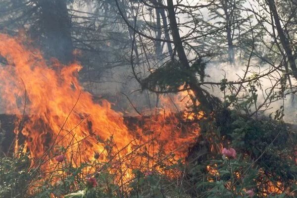 Уровень пожарной опасности в Хакасии увеличивается