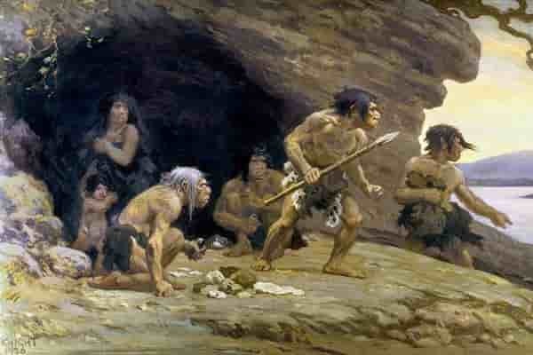 Homo neanderhalensis, как исчез один из видов людей