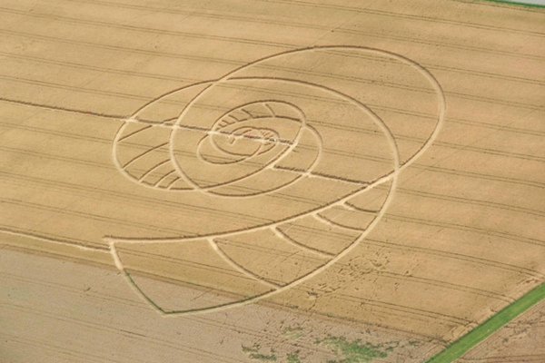 Кто рисует круги на полях?