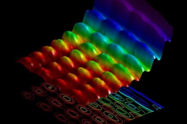 Физики объяснили метахрональные волны в массиве микротрубочек