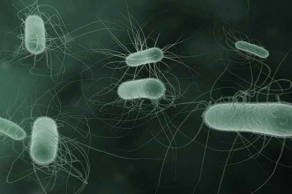 Радикальные идеи: бактерии контролируют погоду