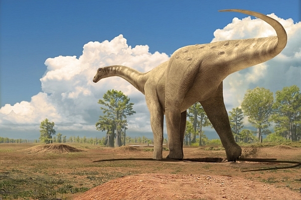 Ученые нашли ногу самого большого динозавра на Земле