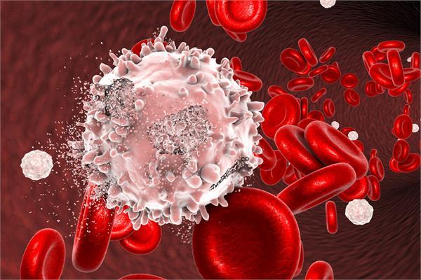 Ученые: рак крови поддается лечению стволовыми клетками