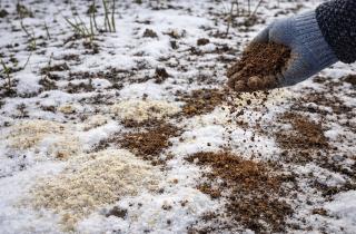 Сад ещё спит, а садоводы уже нет: почему подготовить почву к весне надо именно сейчас