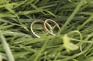 Названы причины, которые разрушают молодые семьи: распознайте тёмную триаду, пока она не нанесла удар