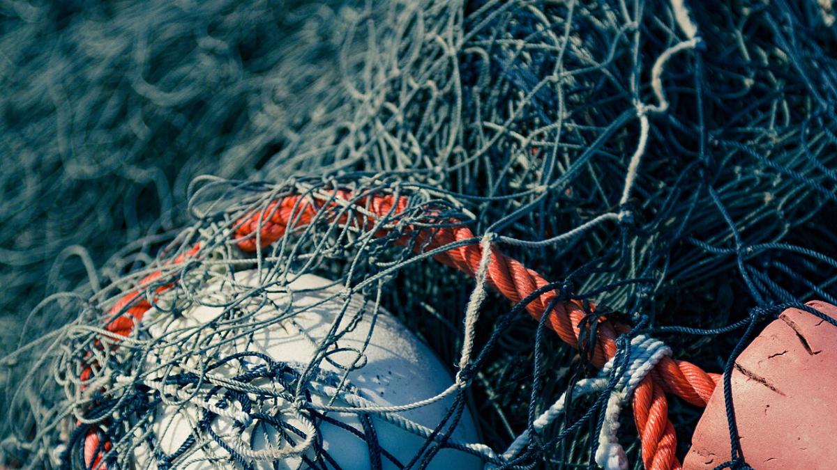 Рыболовная сеть