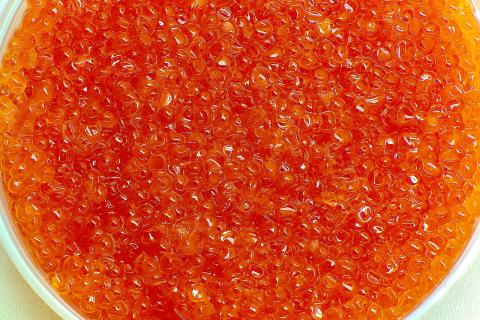Камчатка вошла в середину рейтинга по цене на красную икру — РАИ КАМЧАТКА-ИНФОРМ