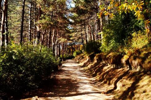 Там, где горы дышат свободой:  Там, где горы дышат свободой: