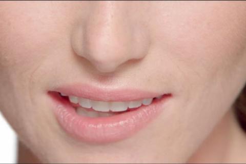 Ноздри поочерёдно меняют поток воздуха в течение дня — Рональд Экклс