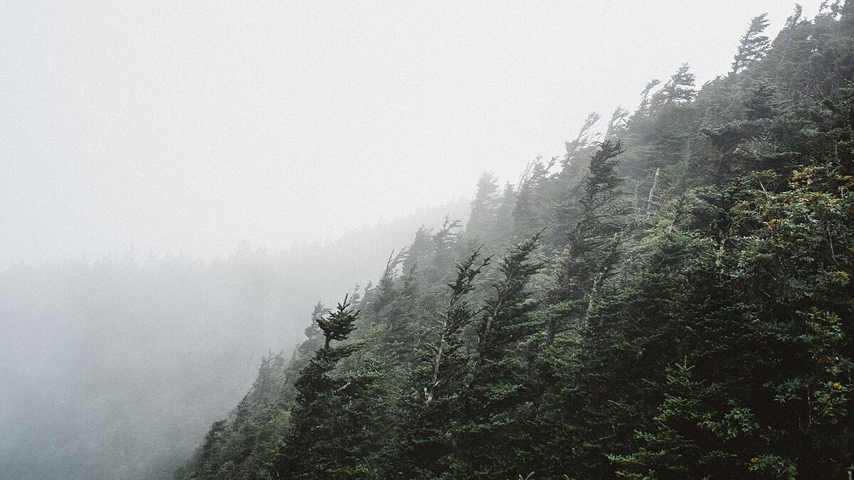 Аппалачская тропа в Честерфилде