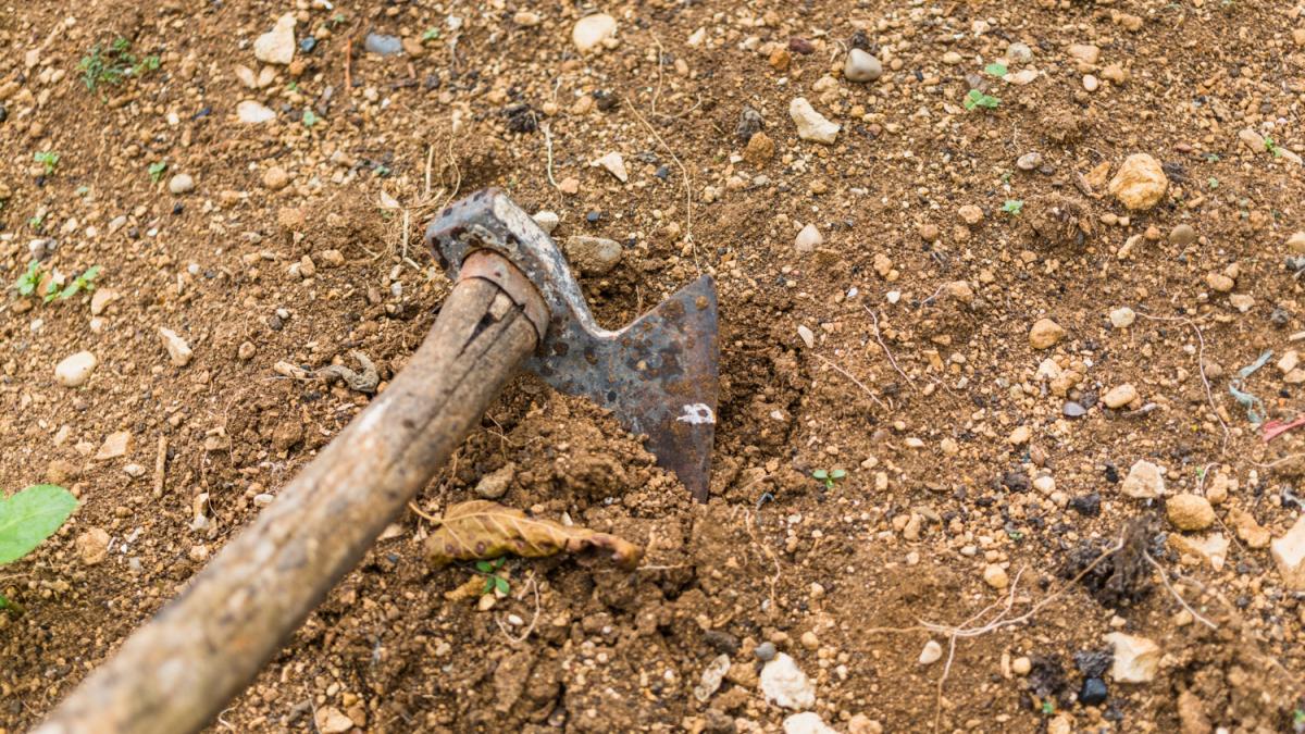 Рыхление земли