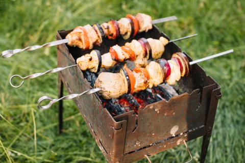 Секретный маринад: шашлык из оленины раскрывает вкус дичи