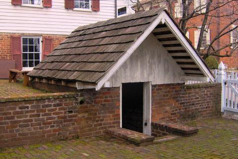 Ошибки в хранении картофеля вызывают прорастание при температуре выше 6°C — аграрии