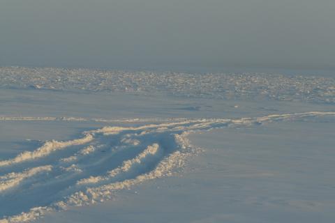 В Архангельске открыли первую пешую ледовую переправу