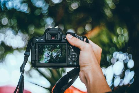 Свадебная фотозона своими руками: это выглядит дороже, чем есть