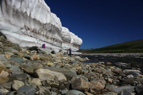 Учёные оживили микробы возрастом до 40 000 лет — Journal of Geophysical Research