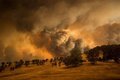 Изменение климата вызывает лесные пожары и рост популяций насекомых Изменение климата вызывает лесные пожары и рост популяций насекомых