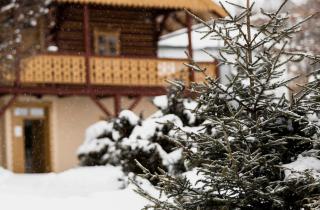 Загородный дом улучшает настроение в межсезонье — психологи