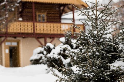 Загородный дом улучшает настроение в межсезонье — психологи