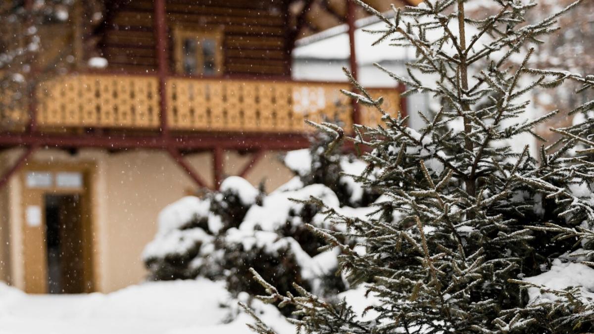 Зимняя дача