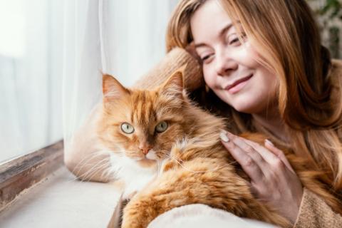 Мурчание позволяет отличать кошек по голосу — Scientific Reports