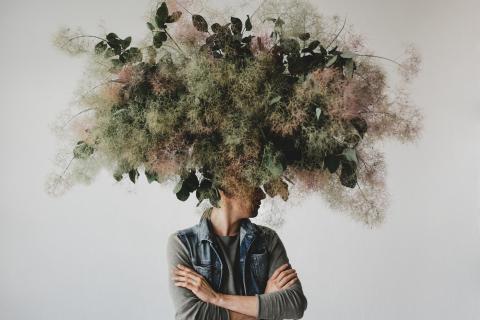 Учёные доказали, что тревога снижает рациональность выбора — журнал PID