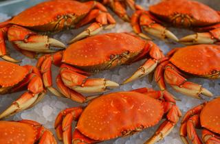 Камчатка зафиксировала падение вылова крабов на 1 109 тонн